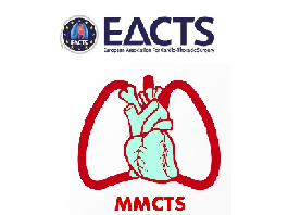 Total endoscopic ablation of atrial fibrillation