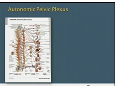 Total Mesorectal Excision for Rectal Cancer: What Defines a Quality Resection Total Mesorectal Excision for Rectal Cancer: What Defines a Quality Resection