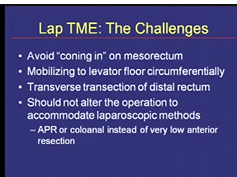 Total Mesorectal Excision Total Mesorectal Excision