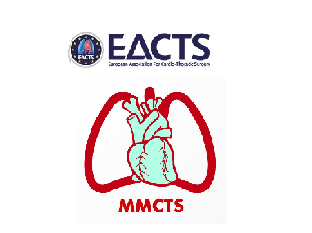 Totally endoscopic set-up for mitral valve repair