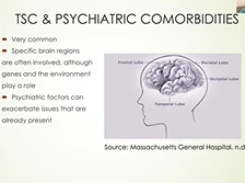 Track 1 TSC Pediatric - TAND Checklist, Aggressive Behavior and Neuropsychiatric Testing Track 1 TSC Pediatric - TAND Checklist, Aggressive Behavior and Neuropsychiatric Testing