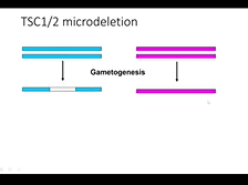 Track 3 TSC Adult - Genetics & Future of Gene Therapy in TSC Track 3 TSC Adult - Genetics & Future of Gene Therapy in TSC