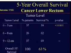 Transanal Endoscopic Microsurgery Transanal Endoscopic Microsurgery