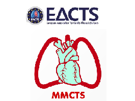Transapical transcatheter aortic valve implantation