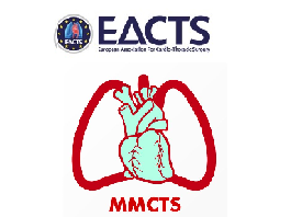 Transcatheter valve with a hollow balloon for aortic valve insufficiency