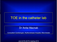 Transoesophageal echocardiography in the catheter lab