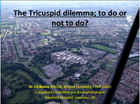 Transoesophageal echocardiography of tricuspid valve: repair or not