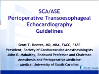 Transoesophageal echocardiography perioperative guidelines