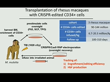 Transplantation and Persistence of CRISPR/Cas9-Edited Hematopoietic Stem and Progenitors Cells Transplantation and Persistence of CRISPR/Cas9-Edited Hematopoietic Stem and Progenitors Cells