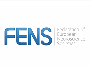 Trevor W.Robbins on From impulsivity to compulsivity in drug addiction PART 1