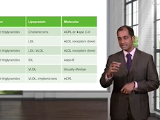 Types of Hyperlipidemia Cardiovascular Pathology Types of Hyperlipidemia Cardiovascular Pathology