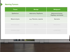 Types of Tumors: Tissues, Benign & Malignant Types of Tumors: Tissues, Benign & Malignant