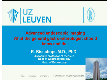 UEG Week 2013 - Advanced endoscopic imaging - What the gastroenterologists should know UEG Week 2013 - Advanced endoscopic imaging - What the gastroenterologists should know
