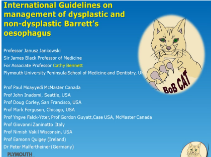 UEG Week 2013 - Barrett's oesophagus - International management guidelines UEG Week 2013 - Barrett's oesophagus - International management guidelines