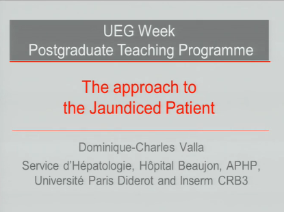 UEG Week 2013 - Common presentations in liver disease: Jaundice UEG Week 2013 - Common presentations in liver disease: Jaundice