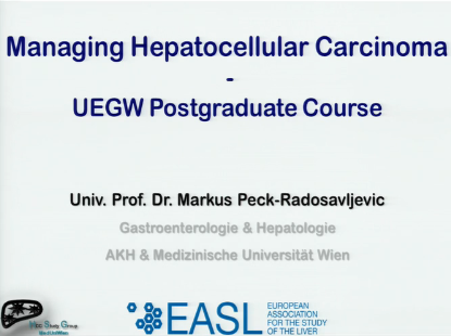 UEG Week 2013 - Complications in cirrhosis: Managing hepatocellular carcinoma UEG Week 2013 - Complications in cirrhosis: Managing hepatocellular carcinoma