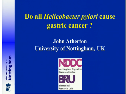 UEG Week 2013 - Do all H. pylori cause gastric cancer ? UEG Week 2013 - Do all H. pylori cause gastric cancer ?