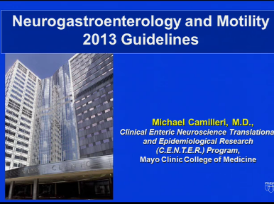 UEG Week 2013 - New guidelines and standards in Neurogastroenterology 2013 UEG Week 2013 - New guidelines and standards in Neurogastroenterology 2013