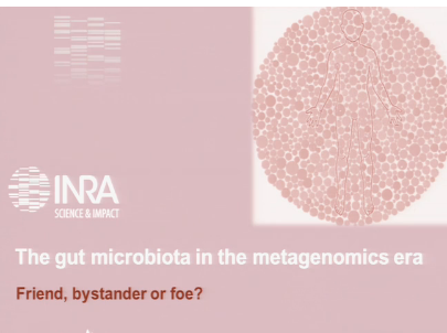UEG Week 2013 - The gut microbiota in the metagenomics era: Friend, bystander or foe UEG Week 2013 - The gut microbiota in the metagenomics era: Friend, bystander or foe