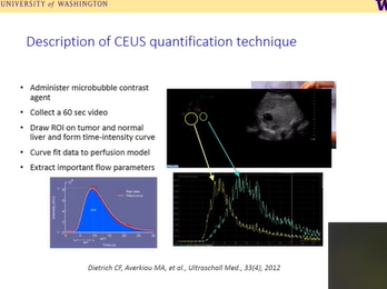Ultrasound Contrast Agents for Diagnosis and Therapy