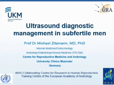 Ultrasound diagnostic management in subfertile men