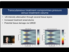 Ultrasound Mediated Gene Delivery in Large Animal Models