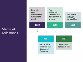 Unbreaking the Heart: Cardiac Regeneration in Non-human Primate Models