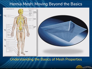 Understanding the Basics of Mesh Properties