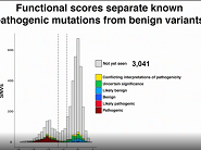 Understanding the functional effects of coding variation, at scale