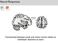 Understanding the Individuality of Fatigue