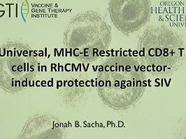 Universel, la réponse des cellules T CD8 restreintes par MHC-E participe à la protection induite par le vecteur-vaccin contre le cytomégalovirus SIV