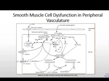 Update on Heart Failure with Preserved Ejection Fraction