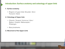 Upper Limb: Anterior & Posterior Aspects - Anatomy Upper Limb: Anterior & Posterior Aspects - Anatomy