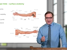 Upper Limb & Lower Limb - Anatomy Upper Limb & Lower Limb - Anatomy