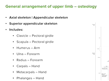Upper Limb: Surface Anatomy & Osteology - Anatomy Upper Limb: Surface Anatomy & Osteology - Anatomy