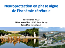 Urgences neuro-vasculaires -Neuroprotection au décours de l'AVC ischémique
