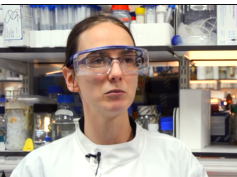 Using pig lungs to learn about cystic fibrosis-related lung infections Using pig lungs to learn about cystic fibrosis-related lung infections