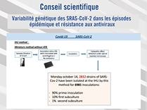 Variabilité génétique des SRAS-CoV-2 dans les épisodes épidémique - Pr. Bernard Lascola Variabilité génétique des SRAS-CoV-2 dans les épisodes épidémique - Pr. Bernard Lascola