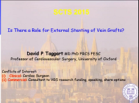 Vein graft external stenting
