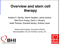 Vein graft stem cell therapy