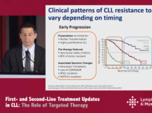 Venetoclax Resistance: Mechanisms and Treatment Options Venetoclax Resistance: Mechanisms and Treatment Options