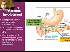 Wait  CFTR isn t Just in the Lungs?