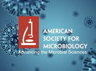 Was enzyme-free metabolism a precursor to Krebs?