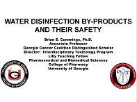 Water Disinfection By-Products and their Safety