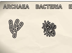 What are extremophiles? What are extremophiles?
