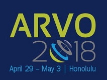 What Escher and Bach teach us about Immunology