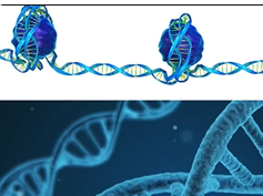 What if we could not only read your genome, but directly interrogate your epigenome? What if we could not only read your genome, but directly interrogate your epigenome?