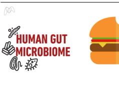 What is a microbiome? What is a microbiome?