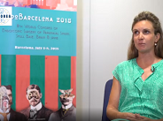 What is the added value of digital tools?