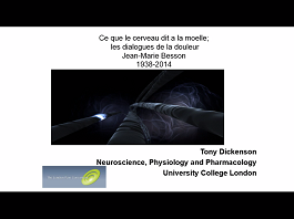 What the brain tells the spinal cord. Conversations in pain What the brain tells the spinal cord. Conversations in pain